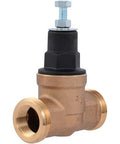 Pressure Regulating Valve For Water Systems Three Quarter Inch NPT Threaded With Poly Top 60 PSI Adjustable Direct Pressure Regulation