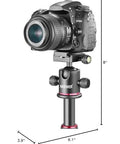 Professional Metal 360 Degree Rotating Panoramic Ball Head With One Quarter Inch Quick Release Plate and DSLR camera mounted