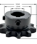 40 Tooth Roller Chain Sprocket Type B With Five Eighth Inch Bore For ANSI 40 Chain, Half Inch Pitch, Ten Teeth, Keyway And Two Setscrews