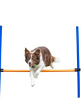 Brown and white dog jumping over Pro Grade Dog Agility Hurdle With Height Adjustable Crossbar for Training And Outdoor Fun Easy to Set