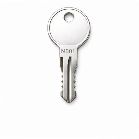 2 Pack Replacement Keys N124 Pre Cut To N001 To N250 Codes Includes Removal Key D1251 for Roof Racks
