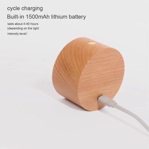 Wireless Wall Mounted Reading Light Two-Pack With USB Charging Port showing USB connection for charging