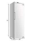 No Hassle Commercial Upright Freezer With Automated Defrost And Sleek Digital Panel For Restaurants, 74" tall, clean white design.