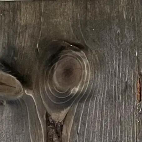 Close-up of wood grain showing a knot, illustrating natural texture. Straight Up True Ebony Aging Wood Stain For Bare Interior Wood Projects One Coat Water Based Dark Finish That Reacts With Natural Tannins Dries Fast And Easy Cleanup Five Gallons.