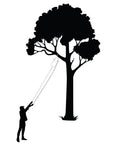 Silhouette of arborist using Rope Sniper Pro Arborist Tool For Effortless Rope Placement And Laser Sharp Precision On Challenging Jobs From Height To Window Sills A Real Time Saver For Pros And A Game Changer Who Value Speed And Safety In Rigging on tall tree.