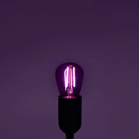 Single purple S14 Edison LED light bulb illuminated, displaying vintage filament glow, suitable for indoor outdoor string lights.