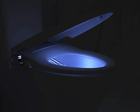 Elongated Non Electric Bidet Seat With Dual Nozzles, Ultra Low Profile, Boss-Level Spray, LED Nightlight, Bathroom View