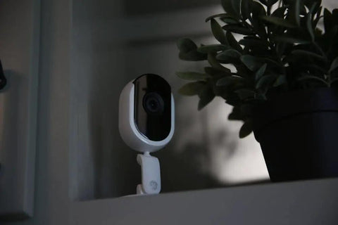 Cync Indoor Smart Camera With WiFi 1080p HD Night Vision on shelf beside potted plant, ideal for home surveillance.