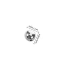 Hands On Pendulum Ball Physics Tool For Classroom And Lab, Vibration Experiments, Mechanics Education Kit, metal ball, 1 cm diameter.