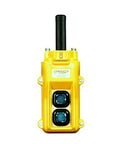 Eighty Series Two Button Pendant Control Box With Three Speed Settings Shop Ready Beefy Drop Down Crane And Hoist Switch, yellow, front view.