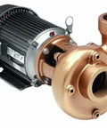 Heavy Duty Straight Centrifugal Pump Built Tough For Moving Chemicals Hot Fluids And Dirty Water Without Breaking A Sweat Featuring 316 Stainless Steel Construction And Self Cleaning Efficiency.