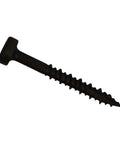 Close-up of Face Frame Pocket Hole Screws 1000 Pack with Robertson Square Drive, partially threaded for cabinet making and furniture building.