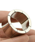 NdFeB arc-segment magnets, 8-piece ring, brown segments with silver ends