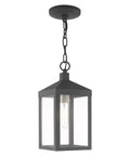 Nyack One Light Outdoor Hanging Lantern In Scandinavian Gray With Clear Glass Solid Brass Construction Weatherproof Outdoor Pendant For Porch Patio Or Garden Modern Clean Lines With Bold Outdoor Lighting Built To Last.