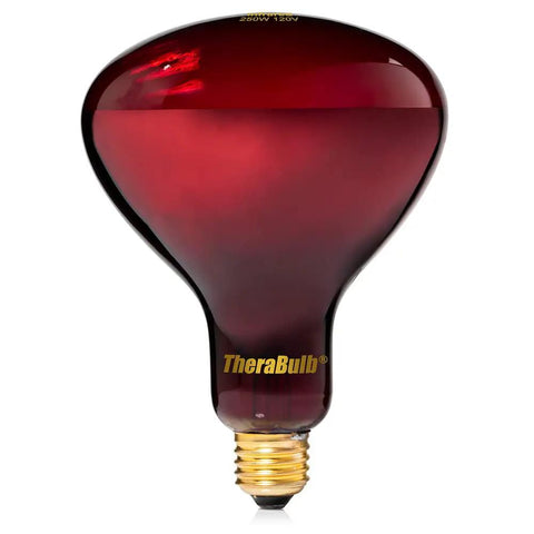 Near Infrared Red Light Therapy Bulb 250W 120V NIR A For Home Wellness E26 Base shown with red glass and gold base