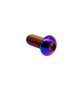 Titanium Screws M6x10mm ISO7380 Button Head Hex Socket Cap Screws Burnt Blue Ti6Al4V GR5 Aviation Grade - Side View