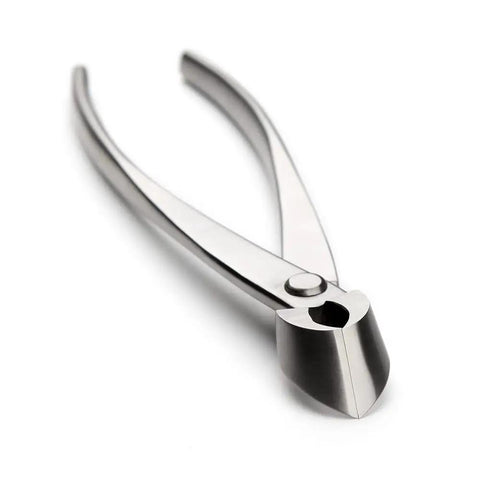 Pro Grade Bonsai Branch Cutter With Straight Edge For Clean, Precise Cuts 205mm Length, showing heavy duty steel blade