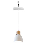 Kiven Instant Light Conversion Kit for 4/5/6inch Hole,Metal Farmhouse Lighting in white with wooden accent, adjustable cord.