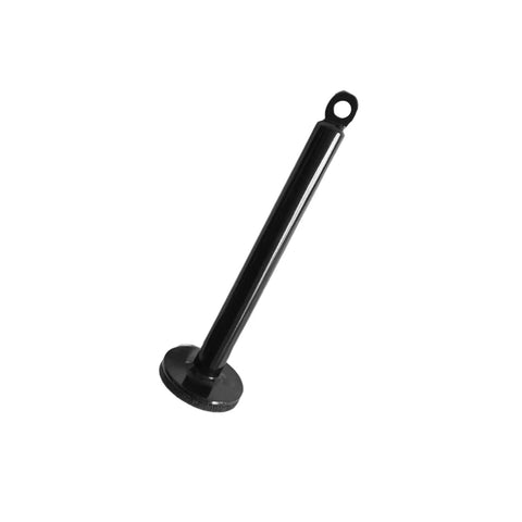Heavy Duty Dumbbell And Barbell Rack Holder With Weight Plate Loading Pin For Home Gym, metal pin for organized storage.