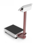Heavy Duty Folding Platform Scale Rock Solid Workhorse For Warehouse Shipping And Luggage Loads With Precision Digital Readout Rechargeable Battery Pack Easy Setup Professional Use 660 Lb, viewed from the side showing stainless steel platform and digital display.