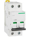 Heavy Duty Miniature Circuit Breaker Two Pole Two Amp D Curve for electrical panel, with two switch toggles and mounting options.