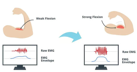 Diagram of muscle flexion levels with EMG readings, depicting weak and strong flexion using Straight Up Badass Muscle Sensor Module Featuring High Performance Emg Technology.