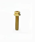 6 Pcs Gold Titanium Bolts M6X50mm T30 Torx Flange Screws Built Like A Tank For Street Rods Machine Shop Grade Gear showing one gold titanium bolt.