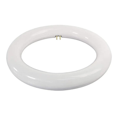 8 Inch LED Circular Tube T9 Replacement 15W Cool White 4100K G10Q Base Plug And Play No Rewiring Needed Requires Compatible Existing Ballast