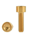 Titanium M6x20 Socket Allen Hex Bolts For Bicycle Disc Brake Caliper Adapter Screws 4 Pack Gold Grade 5 Corrosion Resistant