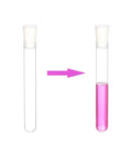 10 Pack Glass Test Tubes With Rubber Stoppers 150mm By 20mm 36 Ml Capacity Includes Cleaning Brush Clear Lab Tubes For Real Science Experiments At Home, glass test tube with rubber stopper, 150x20mm, clear