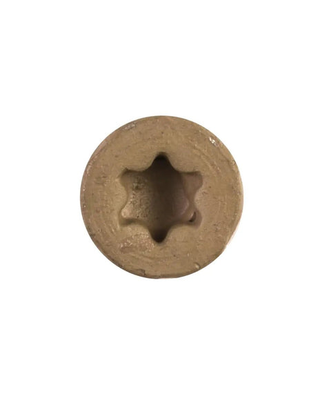 Close-up of DSVT2S Deck-Drive Wood Screw Collated 10 X 2 In Torx T25 Tan head showing rimmed flat head and nibs.