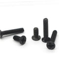 Miniature Screw Set With Countersunk Flat Head Screws In Transparent Storage Box For Glasses Watches Diy Projects And Repairs Small Hardware Kit For Professionals And Diy Enthusiasts, featuring black screws