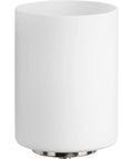 Two Light Etched White Glass Modern Bath Vanity Light In Brushed Nickel Finish, glass shade detail