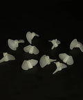 Ten Pairs Nylon RC Boat Propellers, Two Blade CW CCW Set For RC Boats And Ships, arranged on black background