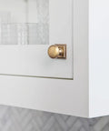 Brushed Brass Cabinet Knob With Backplate on white cabinet, part of Six Pack Zinc Alloy Durable Single Hole Center Mount Pull Hardware