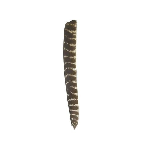 Single turkey feather from 30 Piece Pro Grade Full Length Turkey Feather Arrow Fletching Set For DIY Arrows Right Wing Spiral Twist Wrap 18 To 26 Cm Trueflight RW Feathers For Wooden Shafts Stable And Accurate Flight