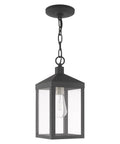 Nyack One Light Outdoor Hanging Lantern In Scandinavian Gray With Clear Glass Solid Brass Construction Weatherproof Outdoor Pendant