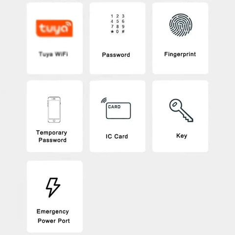 Control options for No Sweat Smart Fingerprint Lock: WiFi, password, fingerprint, IC card, emergency power port.