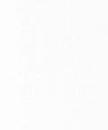 Plain white background texture.