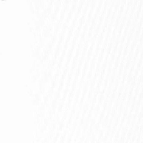 Plain white background texture.