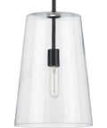 Coastal Clear Glass Pendant Light In Matte Black 1 Light Ceiling Fixture With Sleek Swivel Arm Modern Minimalist Style front view