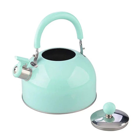 Heavy Duty Stainless Steel Water Kettle With Slick Pastel Exterior And Zero Scald Handles Providing A Dang Fast Boil Speed While Incorporating A Trustworthy Auto Whistle Alarm For Daily Household Prep, side view with lid.