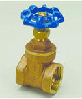 1-inch non-rising stem brass gate valve with blue handwheel and female threaded ends.