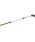 Powerful 20V Max XR Pole Saw with fifteen foot reach fully extended, showcasing brushless motor and durable design for tree trimming.