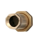 Lead-free brass MPT dual check valve, 3/4-inch, Watts LF7RU2-2, one-piece body