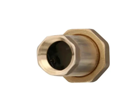 Lead-free brass MPT dual check valve, 3/4-inch, Watts LF7RU2-2, one-piece body