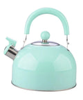 Heavy Duty Stainless Steel Water Kettle With Slick Pastel Exterior And Zero Scald Handles Providing A Dang Fast Boil Speed While Incorporating A Trustworthy Auto Whistle Alarm For Daily Household Prep in mint color with a comfortable handle.