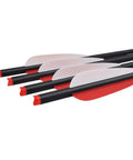 Close-up of 20 Inch Carbon Crossbow Bolts For Hunting, Beginner And Youth Friendly Arrows with 4 Inch Vanes, Pack Of 12