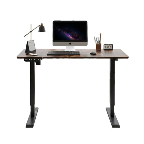 Rock Solid 55 Inch Electric Standing Desk With Dual Motor Lift For Huge Gaming Setup Or Home Office Work Table with computer and lamp