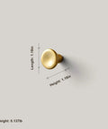 Top Shelf Unlacquered Brass Cabinet Knobs Straight Up Modern Round Dish Hardware Featuring Live Patina Finish 1.18 Inch face width dimensions.